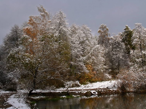 Весенняя рыбалка Балхаш