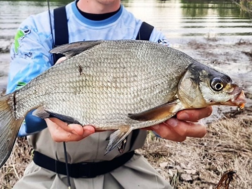 Рыбалка с берега на озере Балхаш