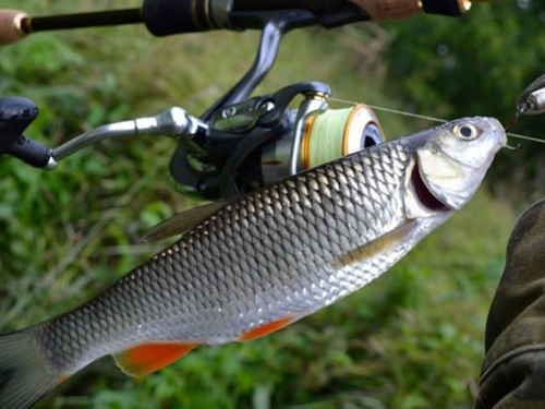 Рыбалка в Казахстане