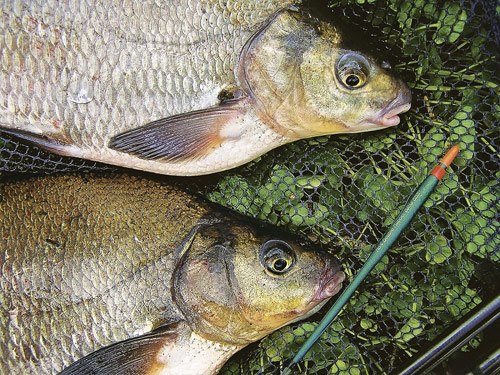 Весенняя рыбалка Балхаш