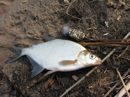 Рыбалка Казахстан