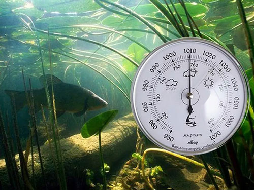 Рыбные места на Балхаше